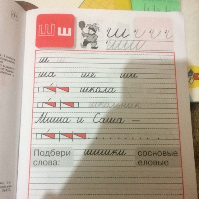 Шишки еловые и сосновые прописи 1 класс