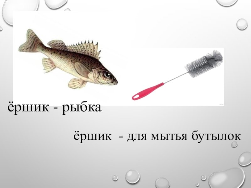 Загадка про ерша для детей