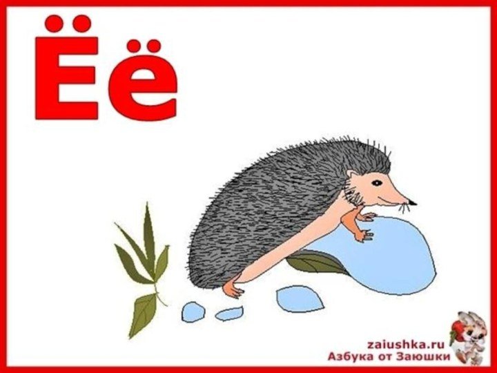 прописи еж ежик ерш ершик