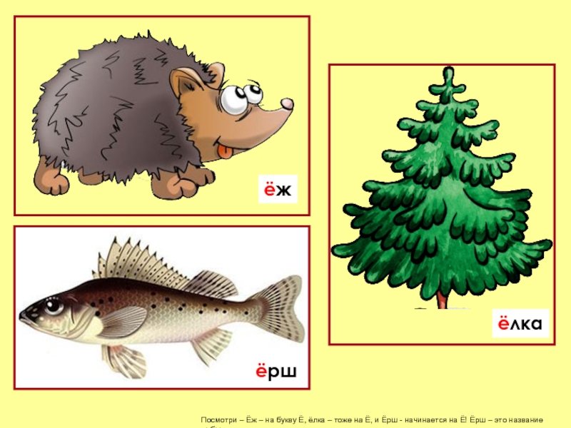 Слова на букву е