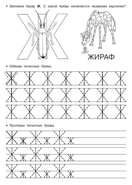 Прописи для дошкольников 5-6 лет буква "ж"
