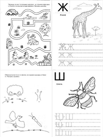 Буква ж задания