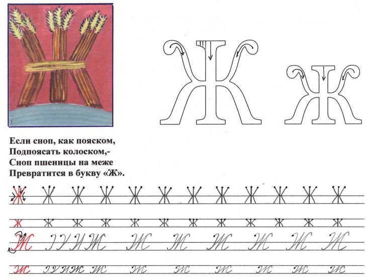 Написание печатной буквы ж