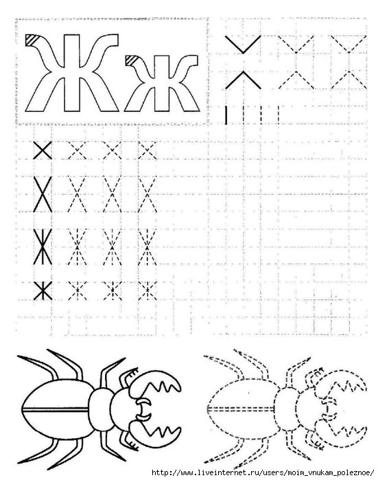Прописи для подготовки к школе дошкольников