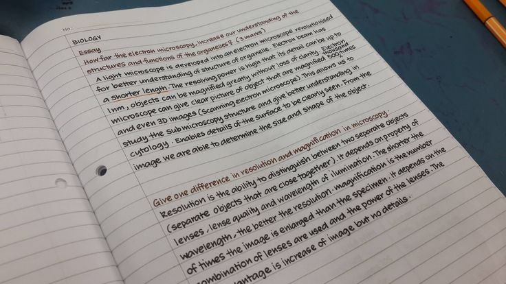 Neat handwriting русский пропись