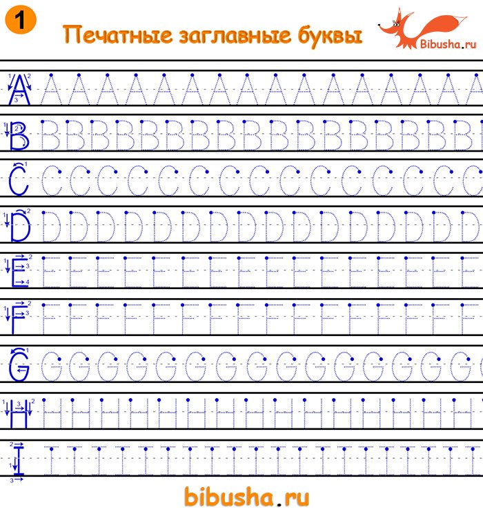 Прописные английские буквы прописи