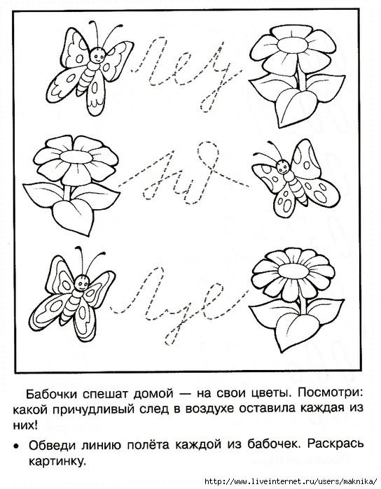 Бабочка пропись раскраска