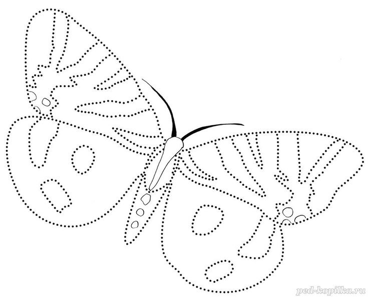 Раскраска "бабочки"