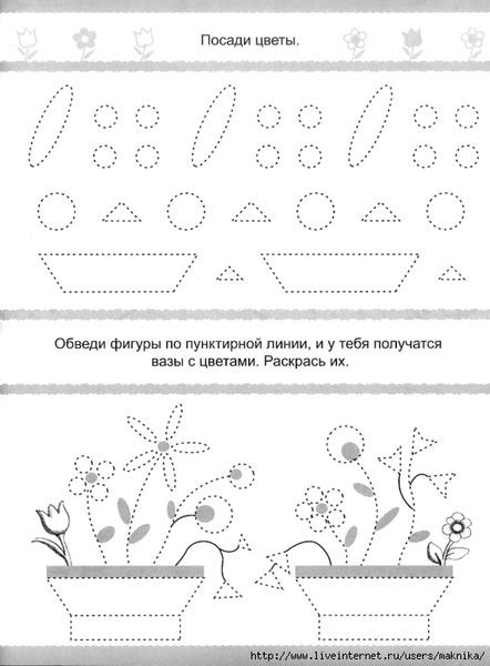 Комнатные растения задания для дошкольников