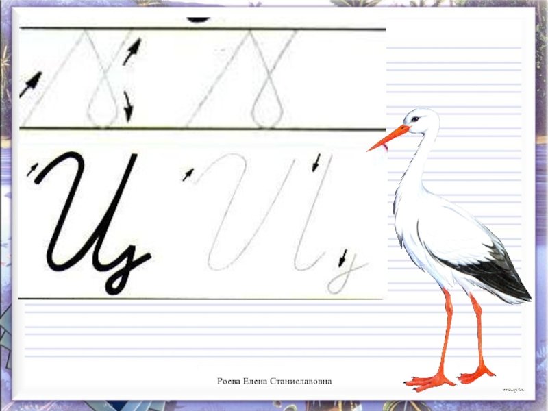 Письменная строчная буква ц