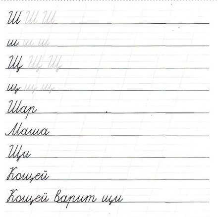 Прописи в широкую линию