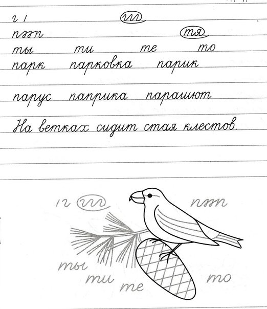 Упражнения по чистописанию 2 класс