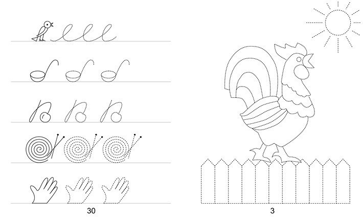 Штриховка домашние птицы