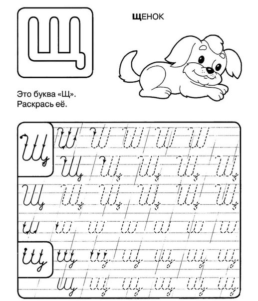 Буква щ пропись для дошкольников