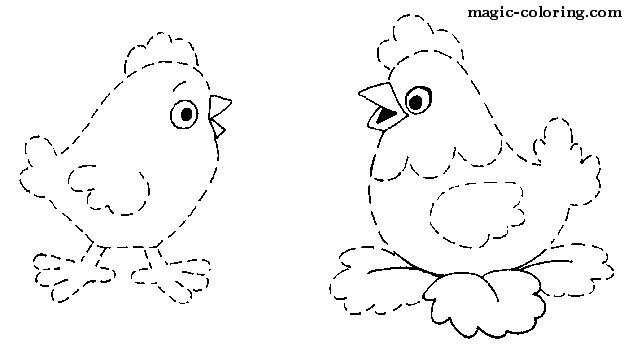 Домашние птицы. Раскраска