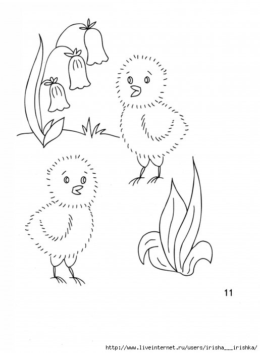 Домашние птицы задания для детей