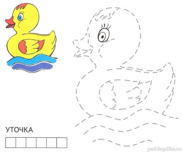 Утки раскраска для детей