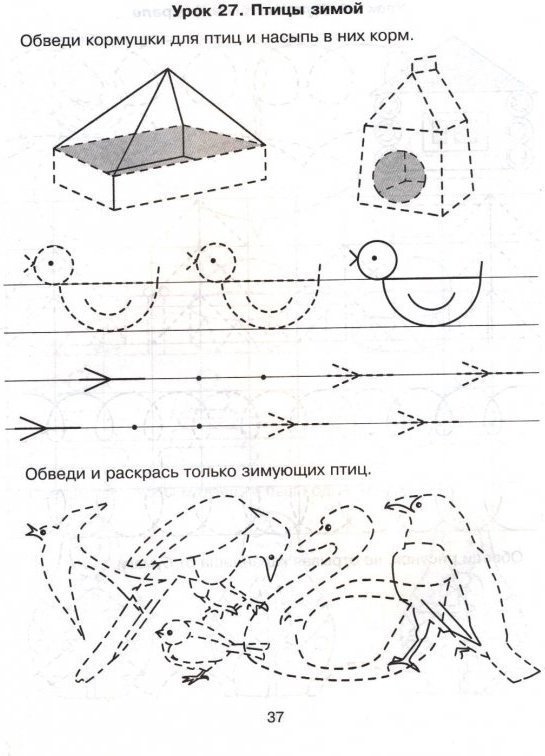 Зимующие птицы задания для дошкольников