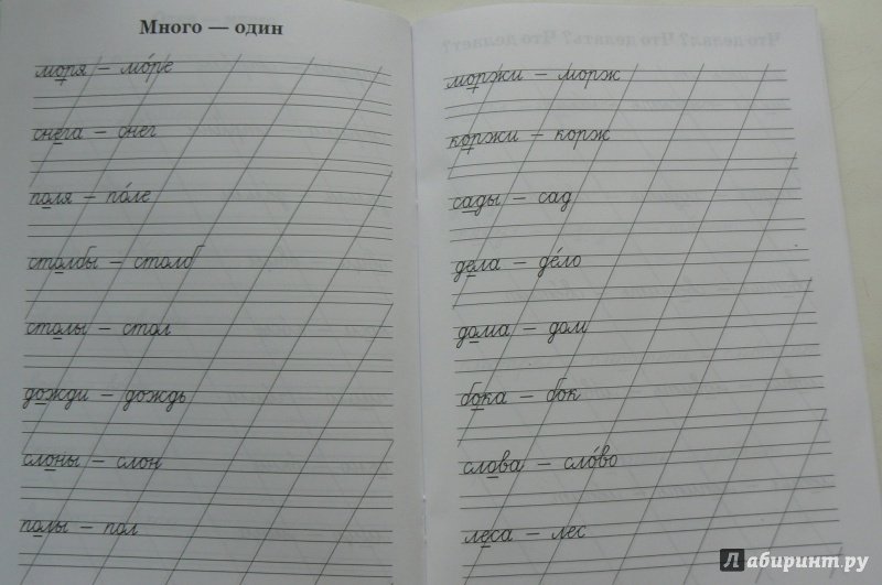 Пропись жи ши 1 класс