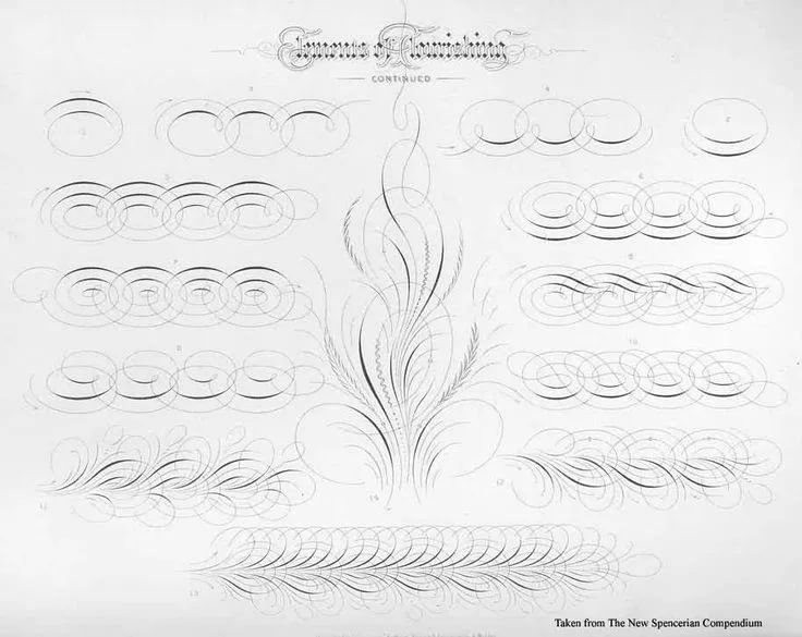 Каллиграфия флориш прописи