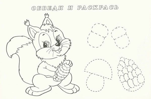 Прописи с белочкой