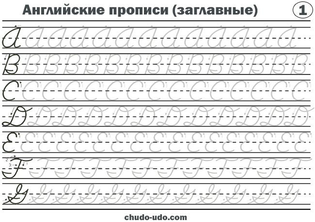 Прописи английский алфавит прописные для детей