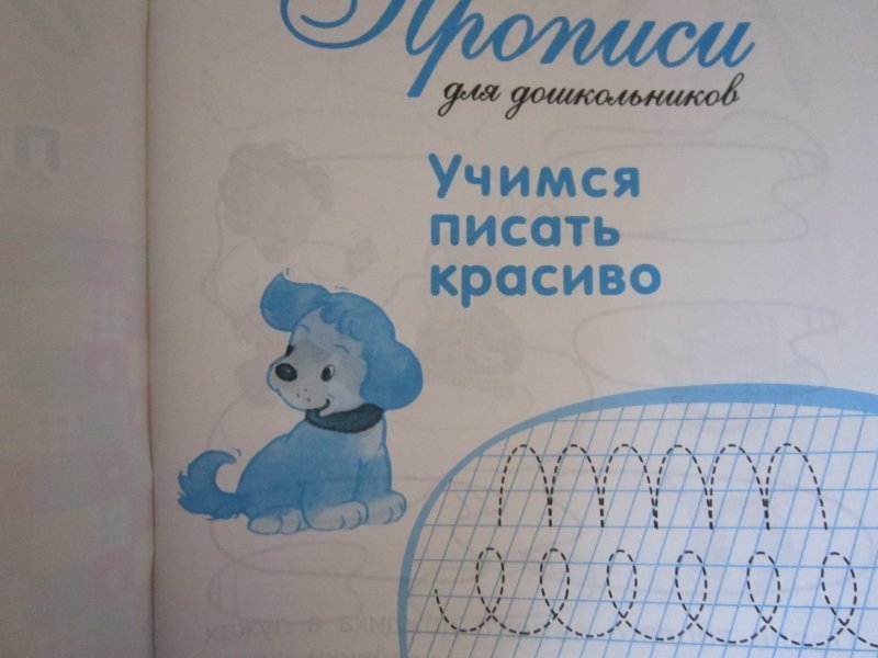 прописи дружок