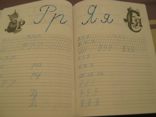 Дружок. Прописи для начальных классов