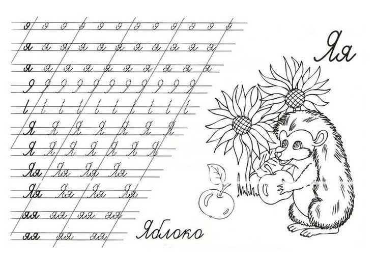 Прописи. Буквы