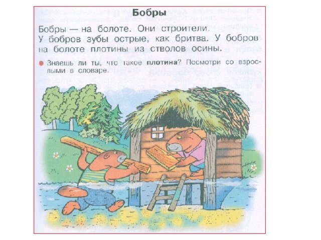 Бобры строители прописи 1