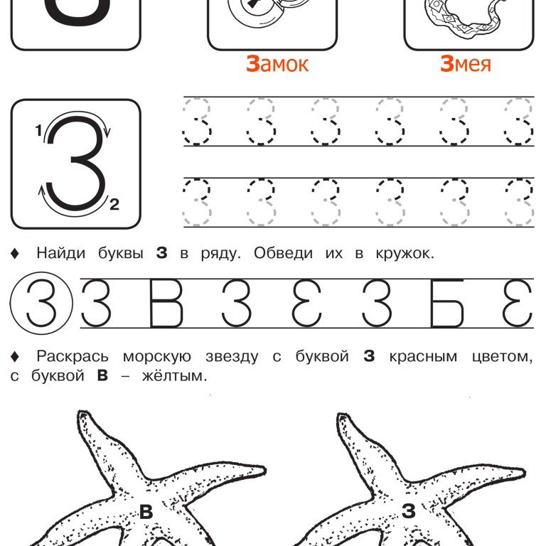 прописи буква ж з и