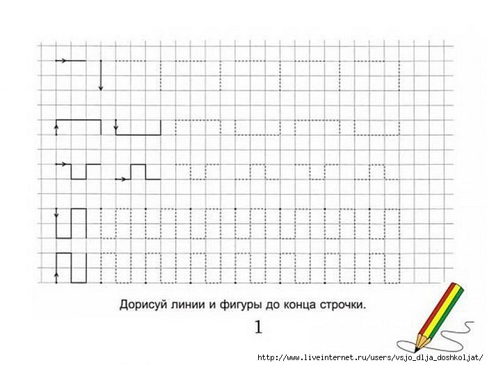 Ориентация в клетке для дошкольников