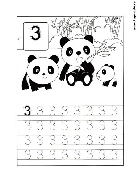 Число и цифра 3 пропись для дошкольников