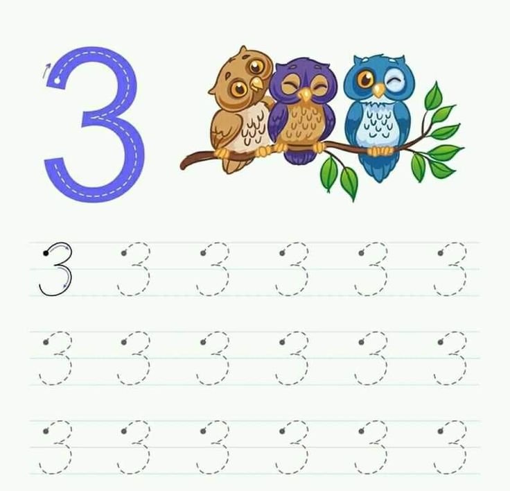 Цифра 3 пропись для дошкольников