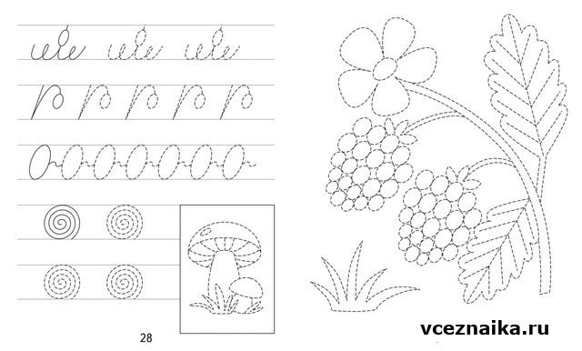 Прописи для дошкольников 6 лет