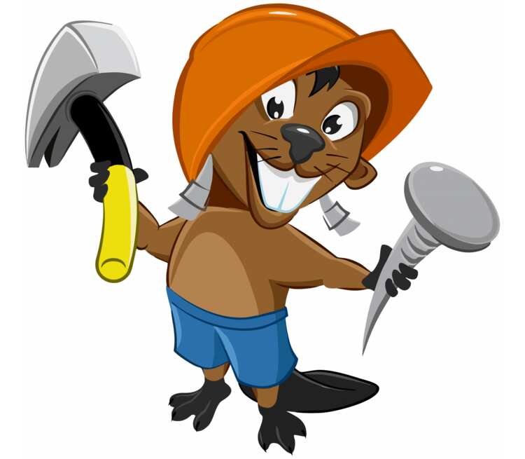 прописи бобры строители