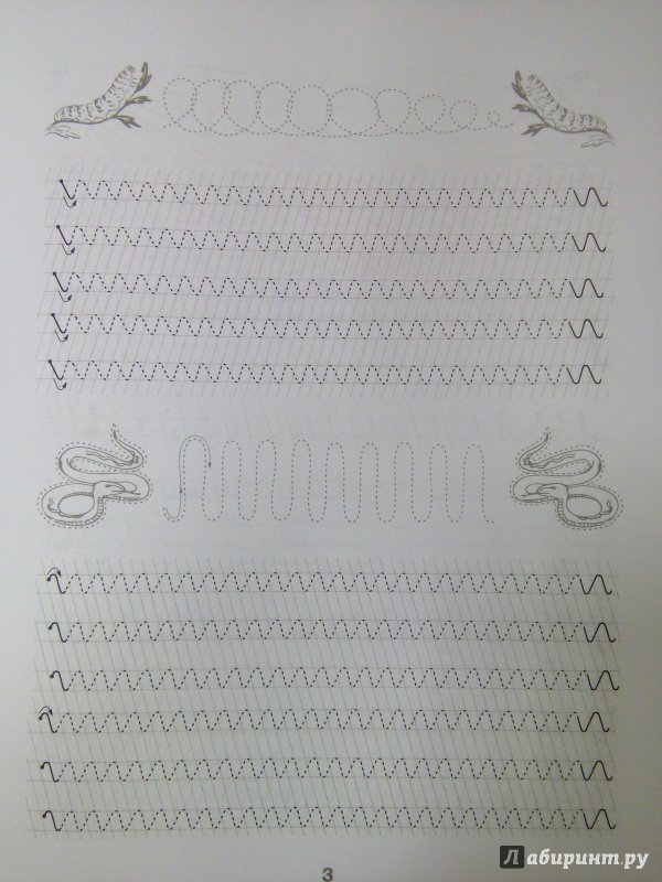 Каллиграфия для детей 5 лет упражнения