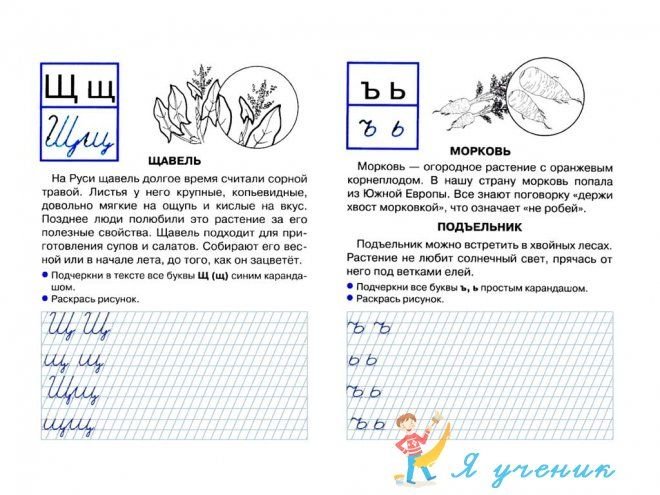 Прописи рассказ