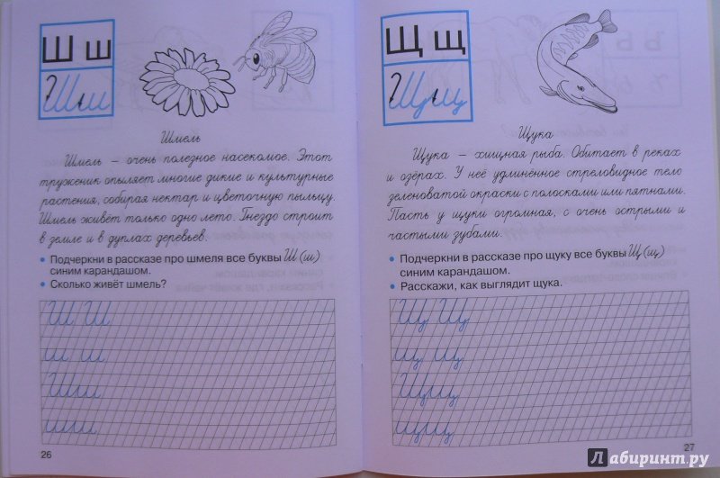 Прописи рассказ