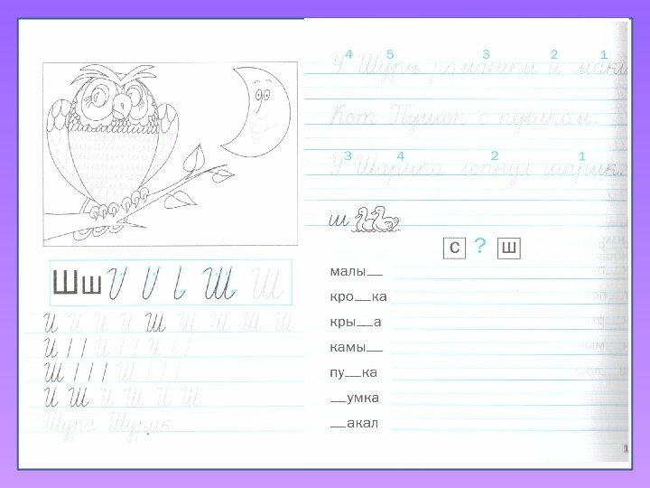 Письмо буквы ш