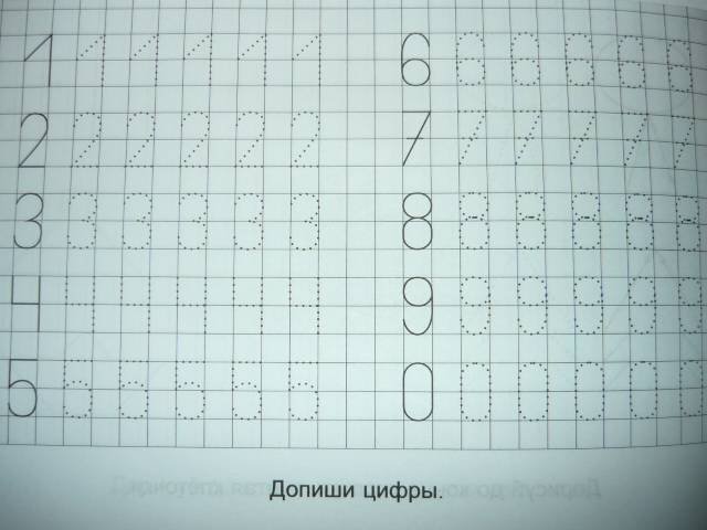 Задания в крупную клетку для дошкольников