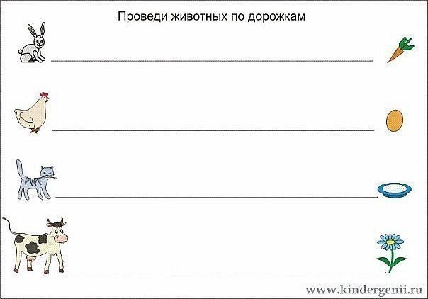 Проведи животных по дорожкам