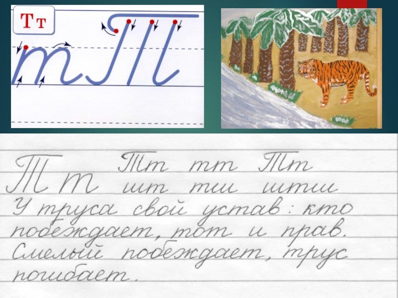 Каллиграфическая минутка