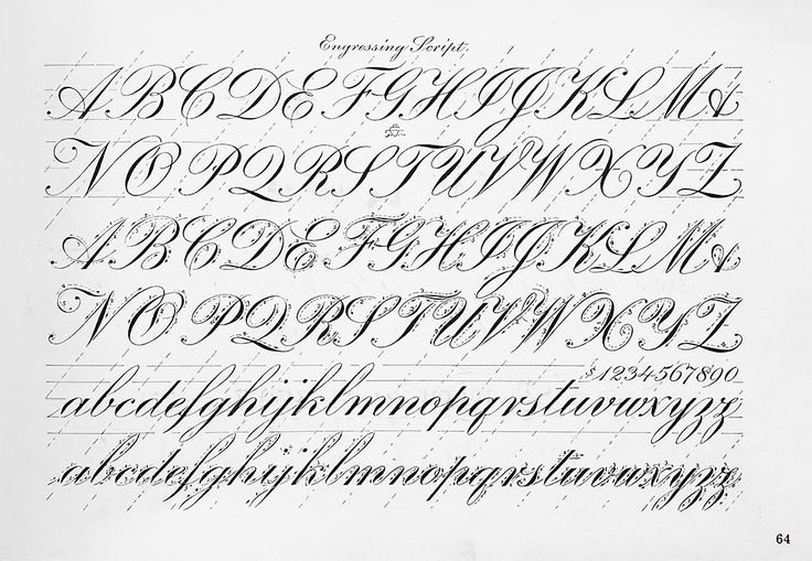 Прописи для каллиграфии английский Copperplate