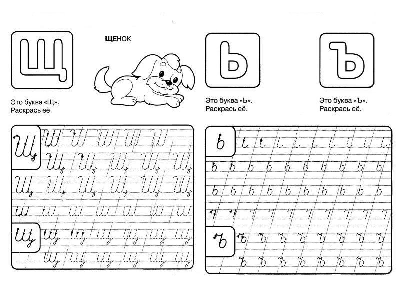 Прописи. Буквы
