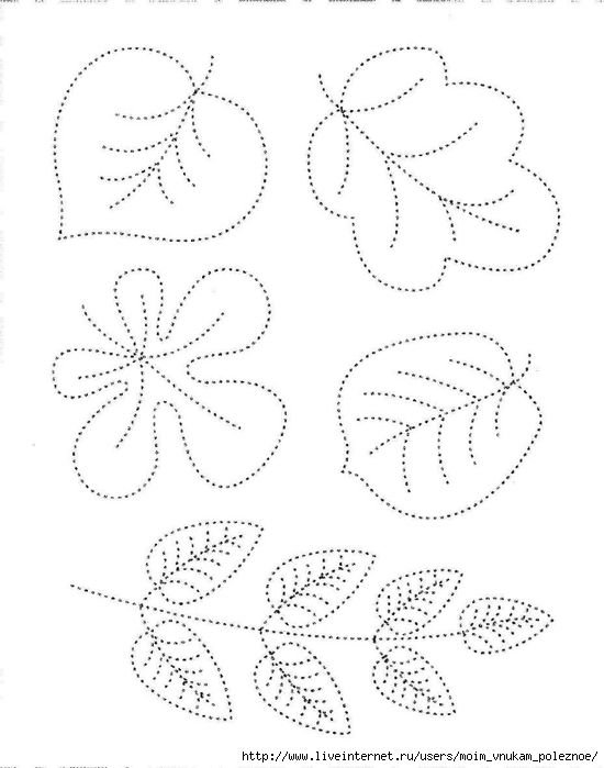 Обводка листьев по контуру