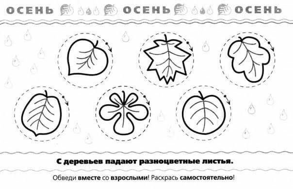 Осенние задания для дошкольников