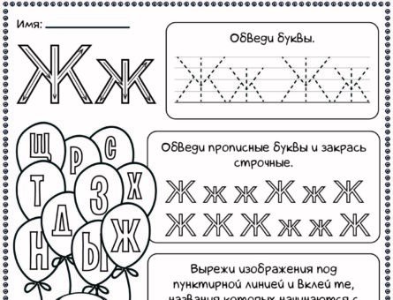 Буква ж пропись