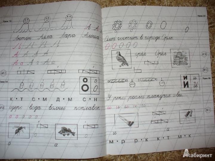 Пропись земля