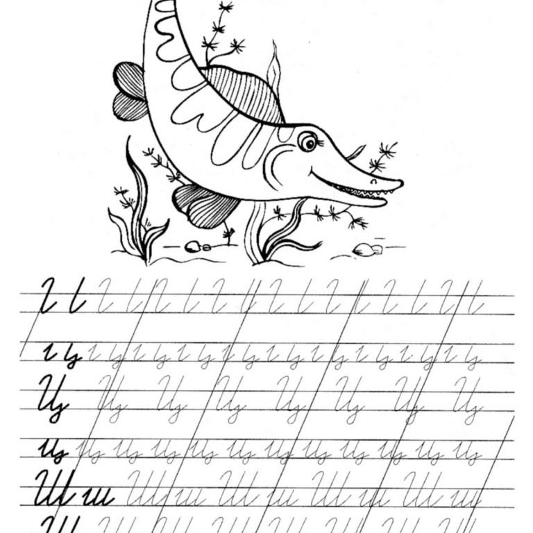прописи ц щ